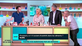 Additifs alimentaires  sontils dangereux pour la santé   Le Magazine de la santé [upl. by Euqitsym473]