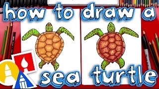 How To Draw A Realistic Sea Turtle [upl. by Phenice]