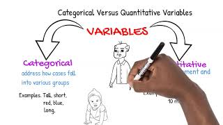 Categorical Versus Quantitative Variables [upl. by Cecilla]