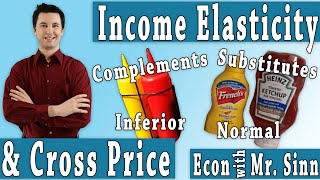 Cross Price Elasticity amp Income Elasticity [upl. by Woolcott]