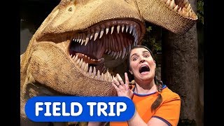 Dinosaur Discoveries  Caities Classroom Field Trip  Nature Museum for Kids [upl. by Gilligan]