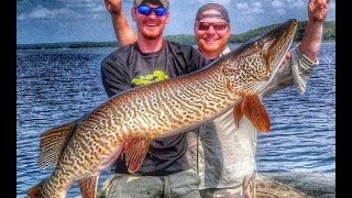 World Record Class 52quot Tiger Musky caught in Vilas County Wisconsin [upl. by Etka781]