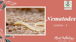 Nematodes  1  Plant Pathology  13  Introduction  Morphology of Nematodes [upl. by Llerdnad251]