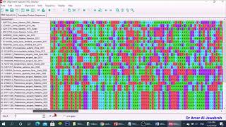 MEGA X How to construct a phylogenetic tree [upl. by Annaej]