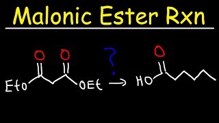 Malonic Ester Synthesis Reaction Mechanism [upl. by Ellinger733]