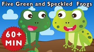 Five Green and Speckled Frogs and More  Nursery Rhymes from Mother Goose Club [upl. by Yracaz]