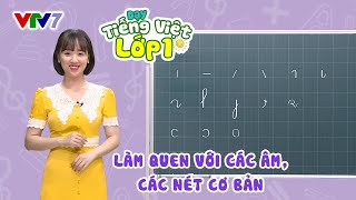 Bài 1 Các âm và nét cơ bản trong tiếng Việt  TIẾNG VIỆT 1  VTV7 [upl. by Nolos357]