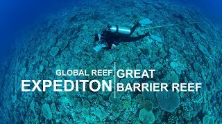 Global Reef Expedition Great Barrier Reef [upl. by Sabec]