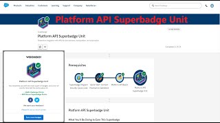 Platform API Superbadge Unit [upl. by Marzi]