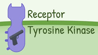 Receptor Tyrosine Kinase  MAPK Pathway [upl. by Blakely]