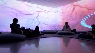 Pipilotti Rist Sip my Ocean  Museum of Contemporary Art Australia Sydney [upl. by Geiger]