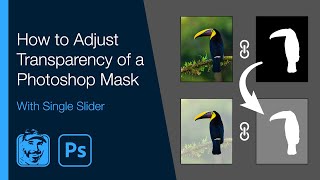 How to Adjust Transparency of a Photoshop Mask With Single Slider [upl. by Kenlay]