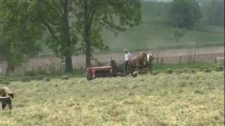 Amish Country  Take a ride in beautiful Holmes County Ohio [upl. by Brose]