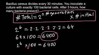 How to calculate exponential growth of bacteria [upl. by Ahswat]