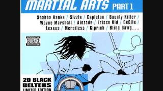 Martial Arts Pt1 Riddim Mix 2002 By DJWOLFPAK [upl. by Ynaffat]