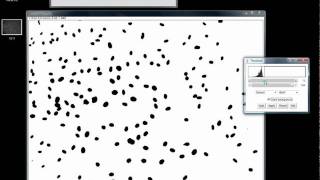 How to count cells using ImageJ [upl. by Asirap]