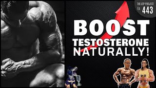 Boost Testosterone Naturally  The ATP Project 443 [upl. by Dunham737]