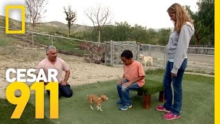 Facing Fears  Cesar 911 [upl. by Hadley]