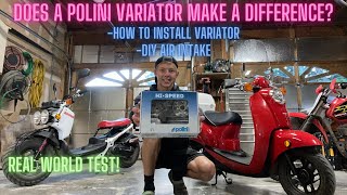 Polini Variator Install and Testing  Honda MetropolitanRuckus [upl. by Filide875]