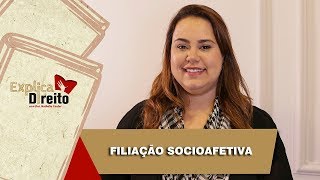 Explica Direito Filiação Socioafetiva  2019 [upl. by Nevyar]