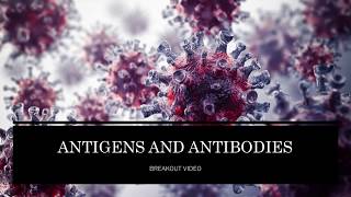 Antigens and Antibodies [upl. by Atipul851]