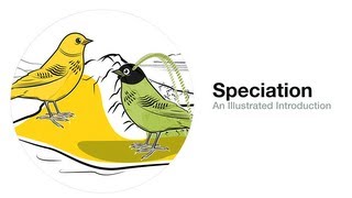 Speciation An Illustrated Introduction [upl. by Enelrad]