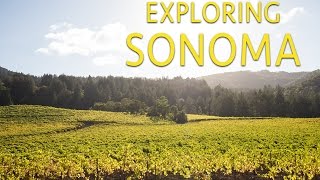 Exploring Sonoma Where to Eat Drink Hike and Relax [upl. by Adamok]