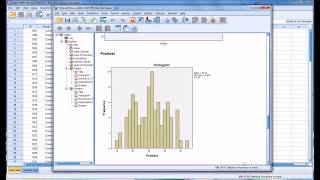 Conducting a ShapiroWilk Normality Test in SPSS [upl. by Anyer]