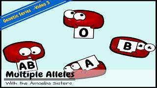 How to calculate allele frequencies  PTC tasting problem solving [upl. by Firooc957]