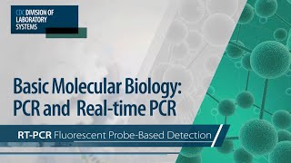 Basic Molecular Biology PCR and RealTime PCR – RTPCR Fluorescent ProbeBased Detection [upl. by Noirb]