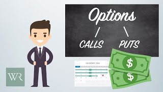 How To Use Options Calls And Puts Explained With Specific Examples [upl. by Aicinat]