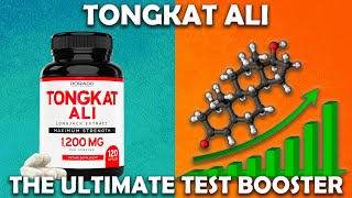 Tongkat Ali Unveiled Proven Testosterone Boosting Qualities [upl. by Ailemaj607]