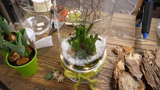 DIY  Winterhafte Frühlingsdeko im Glas mit Hyazinthen und Lichterkette [upl. by Xineohp]