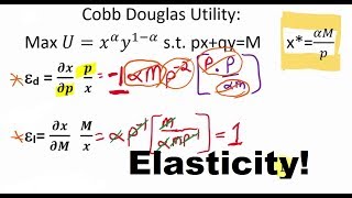 Elasticity Derivations from Marshallian Demand Functions [upl. by Anyaled]