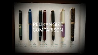 Pelikan Size Comparison [upl. by Erlene]