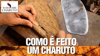 Como é feito um charuto  Tudo Sobre Charuto [upl. by Lennad]