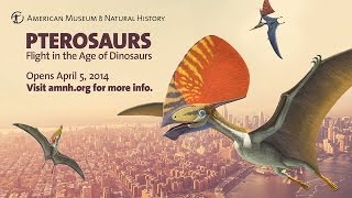 Pterosaurs Flight in the Age of Dinosaurs [upl. by Eiramalegna72]