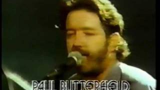 Slowdown Paul Butterfield [upl. by Eednac881]