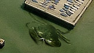 19 BIZARRE Things Found on Google Earth [upl. by Sharlene148]