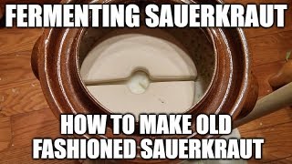 Fermenting Sauerkraut  How To Make Old Fashioned Sauerkraut [upl. by Nester752]