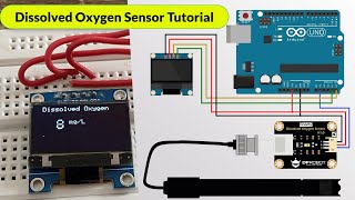 Analog Dissolved Oxygen Sensor Tutorial  DIY Arduino DO Meter [upl. by Lamek]