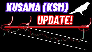 Kusama Crypto Coin KSM Update [upl. by Nnylyahs]