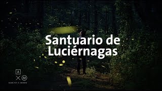 Santuario de Luciérnagas 4K  Alan por el mundo [upl. by Hazmah]