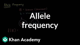 Allele frequency [upl. by Nirtak545]