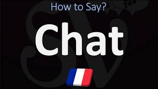 How to Say ‘CAT’ in French  How to Pronounce Chat [upl. by Berkeley321]