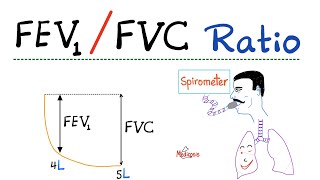 Flow Volume Loops  Respiratory Physiology  Pulmonary Medicine  Pulmonology Playlist [upl. by Varick]