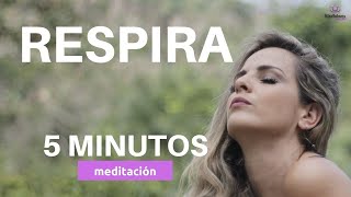 ✨ Meditacion corta 5 MINUTOS  Respiracion Consciente [upl. by Rolanda]