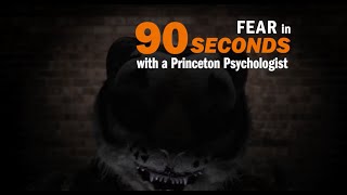 Fear explained in 90 seconds [upl. by Donnenfeld585]