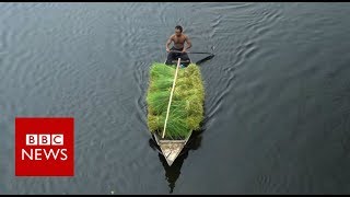 The Floating Farms of Bangladesh  BBC News [upl. by Sanger566]