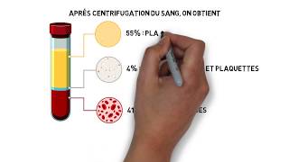 Milieu intérieur Part 02  Les compartiments liquidiens de lorganisme [upl. by Ammadis886]